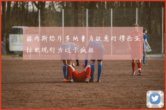 赫内斯怒斥多纳鲁马故意对穆西亚拉犯规行为过于疯狂